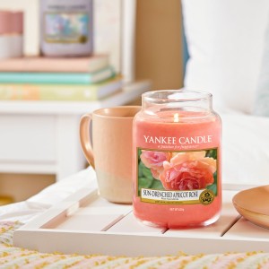 Yankee Candle Bougies YC Rose Succulente